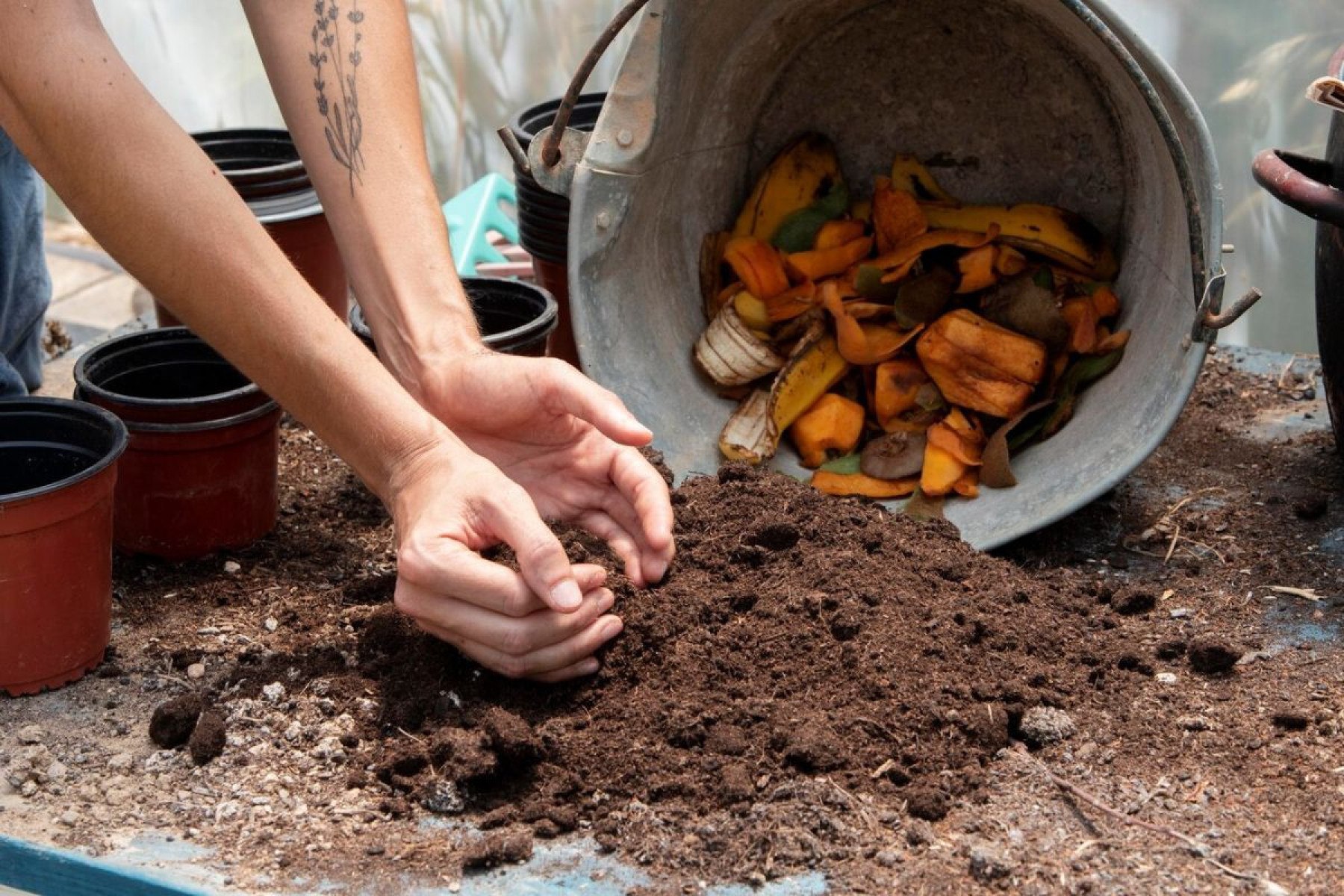 Pessoa utilizando casca de banana na plantação