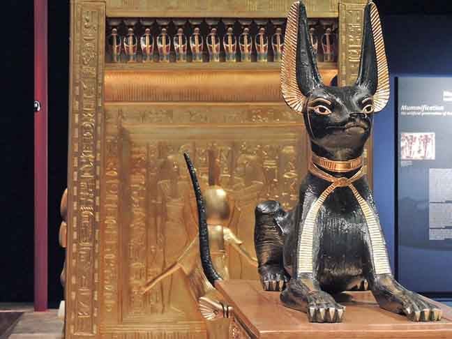 Esses deuses não apenas moldaram a mitologia egípcia, mas também influenciaram a vida cotidiana e o governo do Egito Antigo. Cada um, com suas características únicas, cumpria um papel vital na manutenção do equilíbrio universal e na interação com os seres humanos.