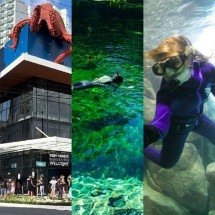 Vida marinha: Os mais belos aquários do Brasil - montagem divulgaÃ§Ã£o