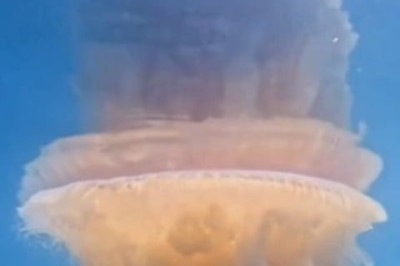 O fotógrafo Rafael Mesquita flagrou uma água-viva gigante e rara na Ilha do Montão de Trigo, entre São Sebastião (SP) e Bertioga (SP). Ele disse que o animal tinha 60 centímetros de diâmetro e mais de 10 metros de tentáculos. -  (crédito: Reprodução de vídeo de Rafael Mesquita )