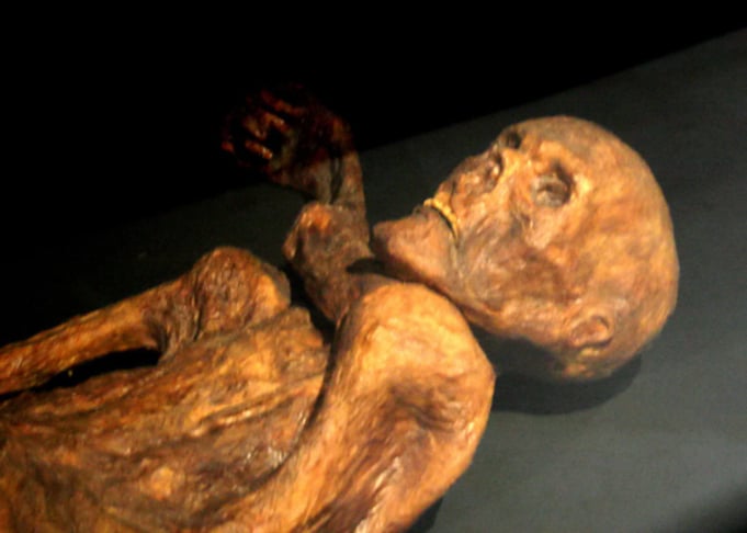 Isso pode ocorrer quando o corpo é exposto a condições secas e com pouco acesso ao ar, o que faz com que a pele e os órgãos percam água, resultando em uma aparência ressecada e enrugada.-wikimedia commons/120