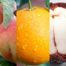Fruta brasileira é eleita uma das 10 melhores do mundo; veja ranking! - montagem/pixabay/reprodução