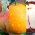 Fruta brasileira é eleita uma das 10 melhores do mundo; veja ranking! - montagem/pixabay/reprodução