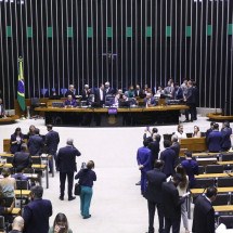 Congresso Nacional aprova Lei Orçamentária de 2025 - Vinicius Loures/Câmara dos Deputados