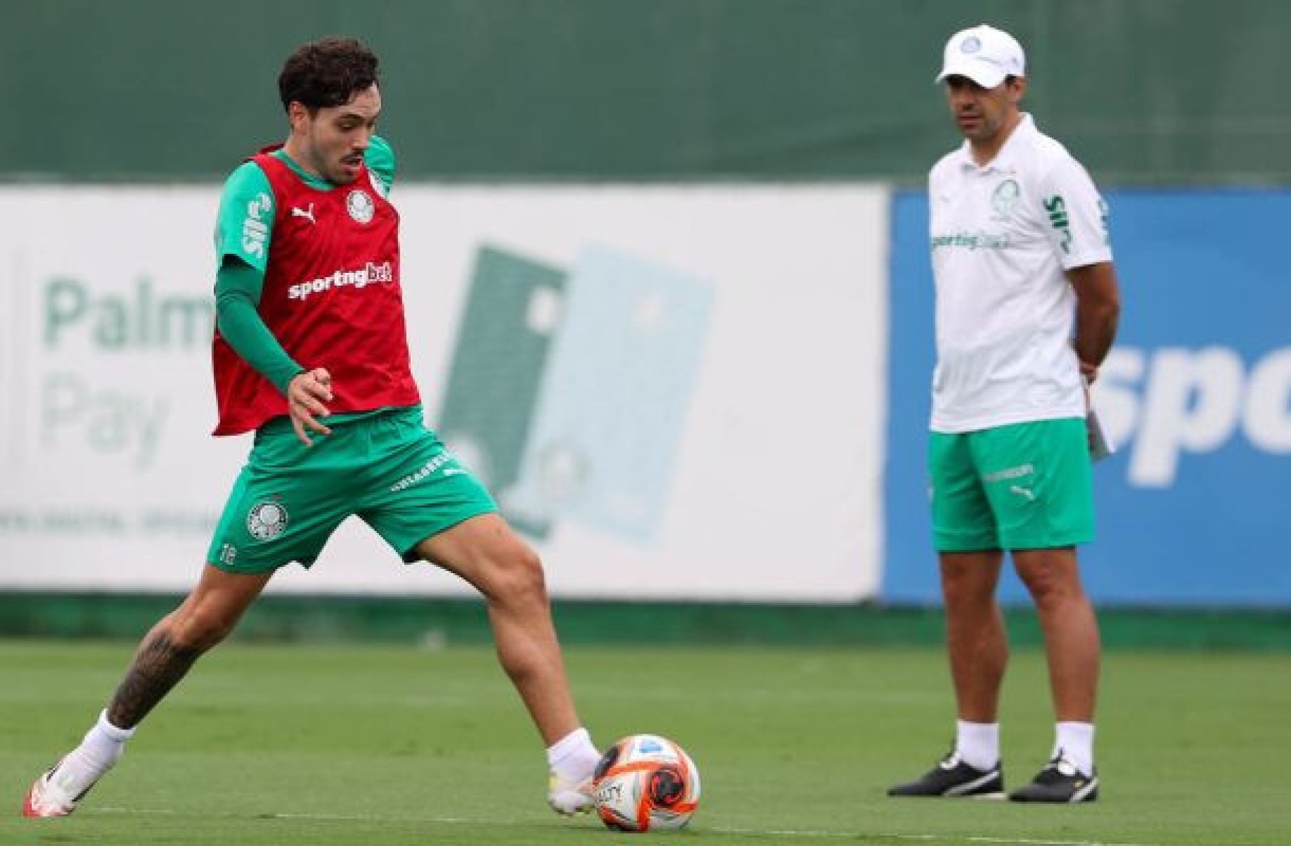 Mauricio treina no Palmeiras e pode ser reforço contra o Corinthians