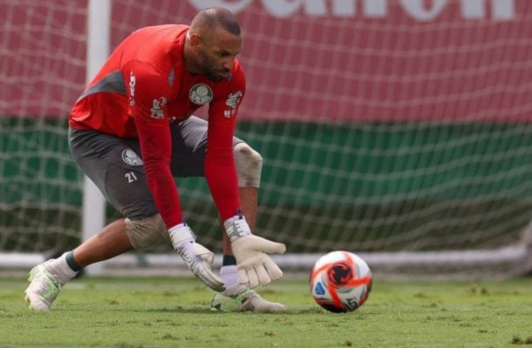 Weverton, do Palmeiras, sobre final contra o Corinthians: ???Lutar até o fim???