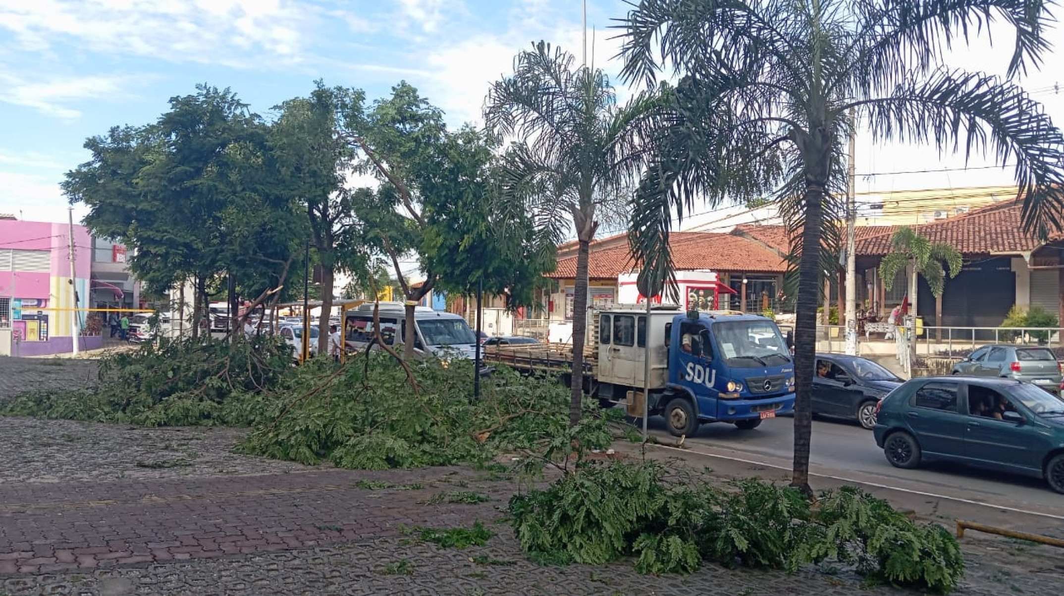Defesa Civil de Lagoa Santa trabalha na desobstrução e retirada de árvores das ruas e avenidas  -  (crédito: Carlos Altman/EM/D.A Press)