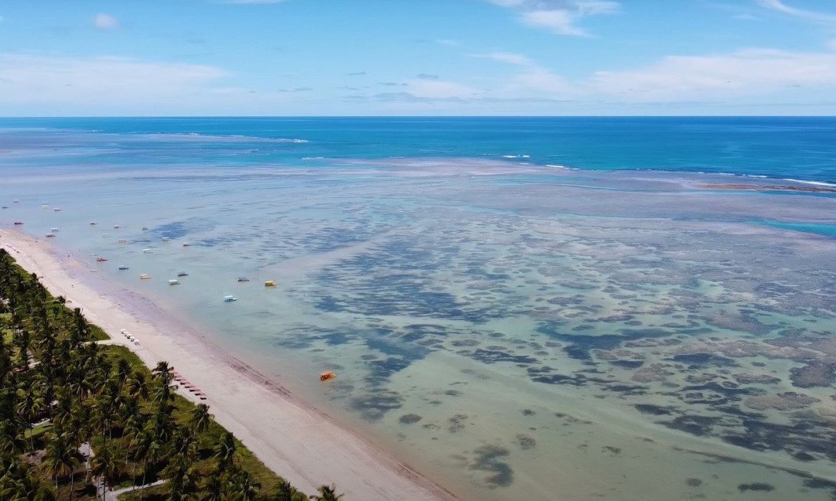 Praia de S&Atilde;&pound;o Miguel dos Milagres (AL): Com &Atilde;&iexcl;guas cristalinas e calmas, essa praia paradis&Atilde;&shy;aca tem piscinas naturais perfeitas para um mergulho seguro.