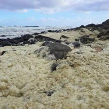 Espuma misteriosa em praia da Austrália adoece mais de 100 pessoas e mata animais - reprodução/Anthony Rowland