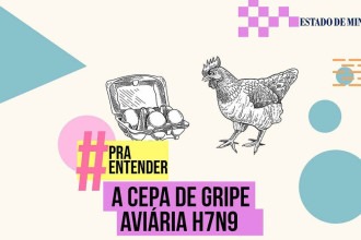 Nova cepa de gripe aviária H7N9: entenda o que é e os riscos 