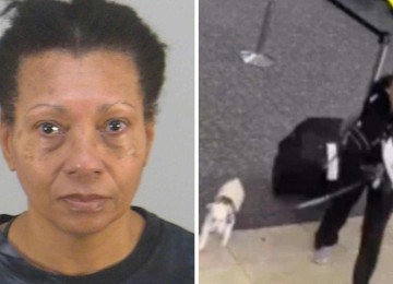 Alison Agatha Lawrence tentou embarcar em voo com cachorro, mas nao tinha documentação necessária -  (crédito: Departamento de Polícia de Orlando)