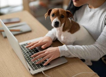 Justiça negou pedido de indenização por mordida de cachorro durante teletrabalho -  (crédito: FreePik)