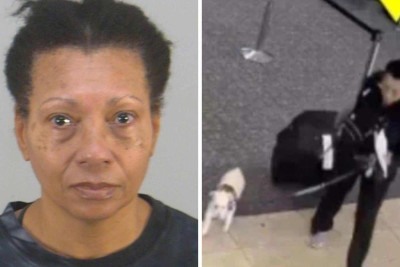 Alison Agatha Lawrence tentou embarcar em voo com cachorro, mas nao tinha documentação necessária -  (crédito: Departamento de Polícia de Orlando)