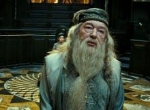 Alvo Dumbledore (Richard Harris / Michael Gambon) – Diretor de Hogwarts e um dos bruxos mais poderosos. Sábio e carismático, guia Harry na luta contra Voldemort, mas esconde segredos sobre seu próprio passado.
