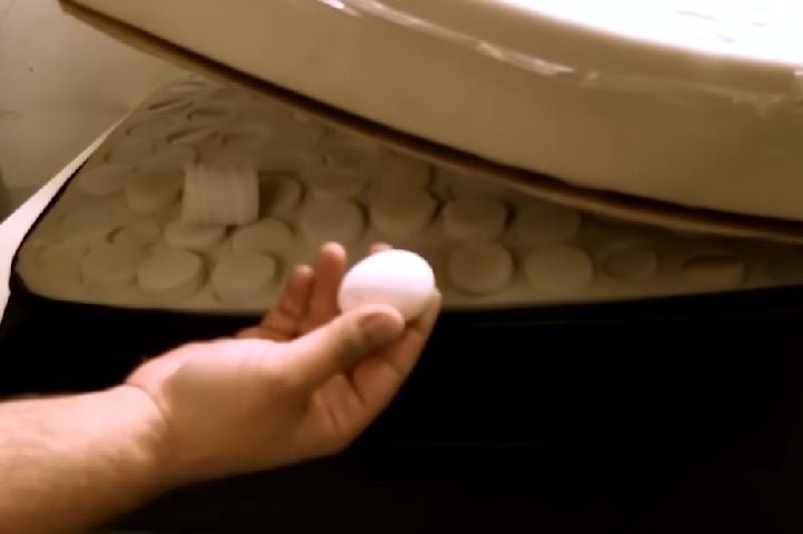 Por isso, a incubação natural é geralmente evitada, e os ovos são chocados por outras galinhas ou por incubadoras artificiais.