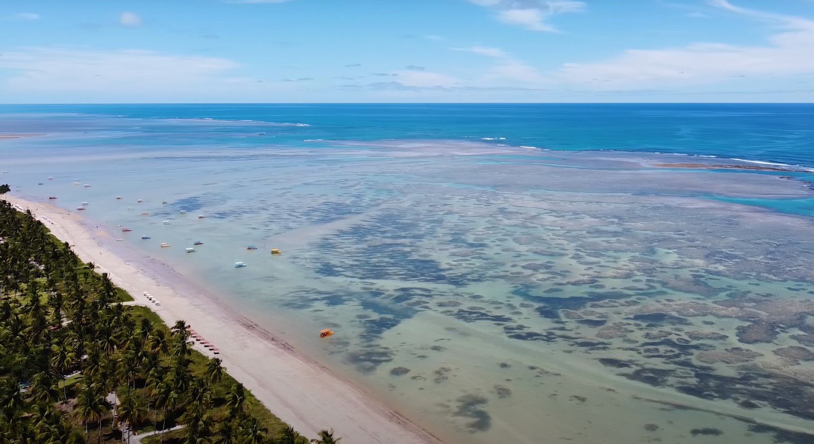Praia de São Miguel dos Milagres (AL): Com águas cristalinas e calmas, essa praia paradisíaca tem piscinas naturais perfeitas para um mergulho seguro.-Reprodução Youtube