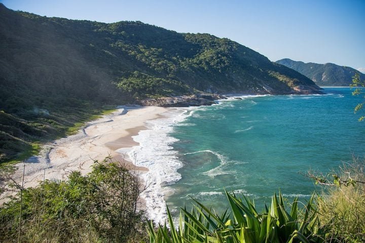 Praia da Daniela (SC): Em Florianópolis, é uma praia de águas mornas e sem ondas, perfeita para crianças pequenas e idosos.
