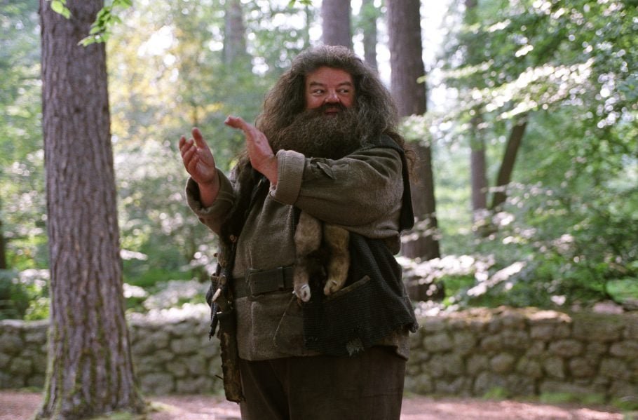 Rúbeo Hagrid (Robbie Coltrane) – Guardião das chaves e terras de Hogwarts, tem um enorme coração e amor por criaturas mágicas. Amigo fiel de Harry, é uma figura paternal em sua jornada.

