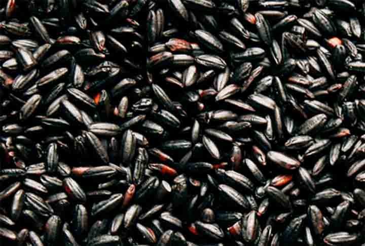 Arroz Negro- Com alto teor de antioxidantes, fibras e nutrientes, apresenta sabor marcante e textura firme. Consumido tradicionalmente na China e na Indonésia, destaca-se em pratos finos, harmonizando-se especialmente com carnes e vegetais.