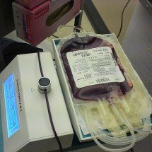 Doação de sangue: Uma só bolsa pode salvar 4 vidas! - Waldszenen wikimedia commons
