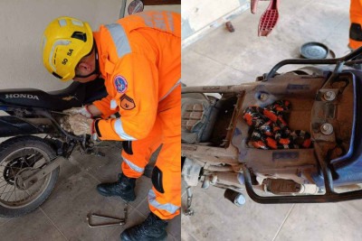 A cobra só foi encontrada depois que o banco da moto foi retirado -  (crédito: Corpo de Bombeiros Militar de Minas Gerais)