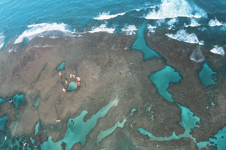 Costa dos Corais entre Alagoas e Pernambuco pode virar 