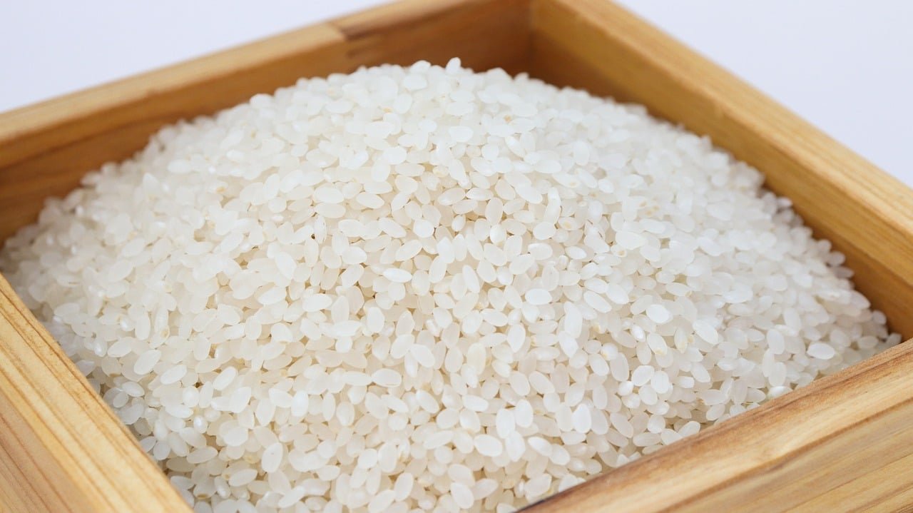 O arroz é um alimento que muitos consideram  indispensável nas mesas do mundo todo, consumido e produzido em larga escala, juntamente com o trigo e o milho. 