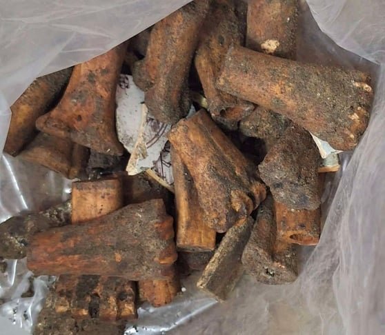 Apesar de o prÃ©dio atual ter sido construÃ­do em 1609, o piso feito de ossos, datado do sÃ©culo 15, sugere uma histÃ³ria mais antiga e misteriosa para o local. 