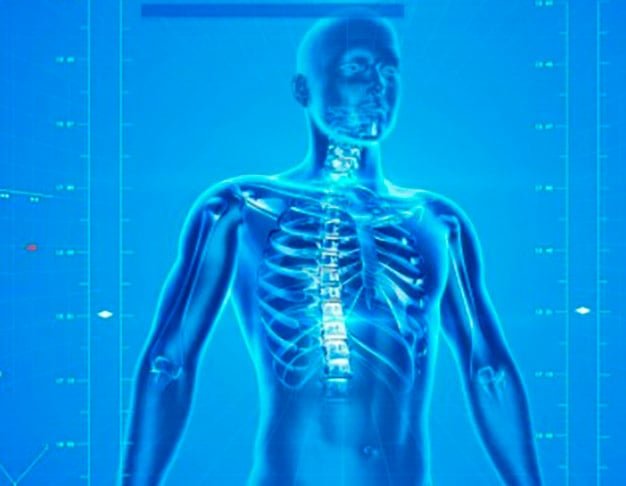 Benefícios do consumo de alimentos ricos em ferro