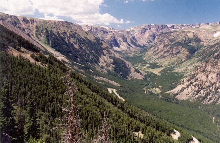 Segundo Greg Pederson, paleoclimatologista do Northern Rocky Mountain Science Center do US Geological Survey e principal autor do artigo, embora a temperatura seja o principal fator que determina a elevação da linha de árvores, variáveis como umidade, vento, neve e impacto humano também influenciam.