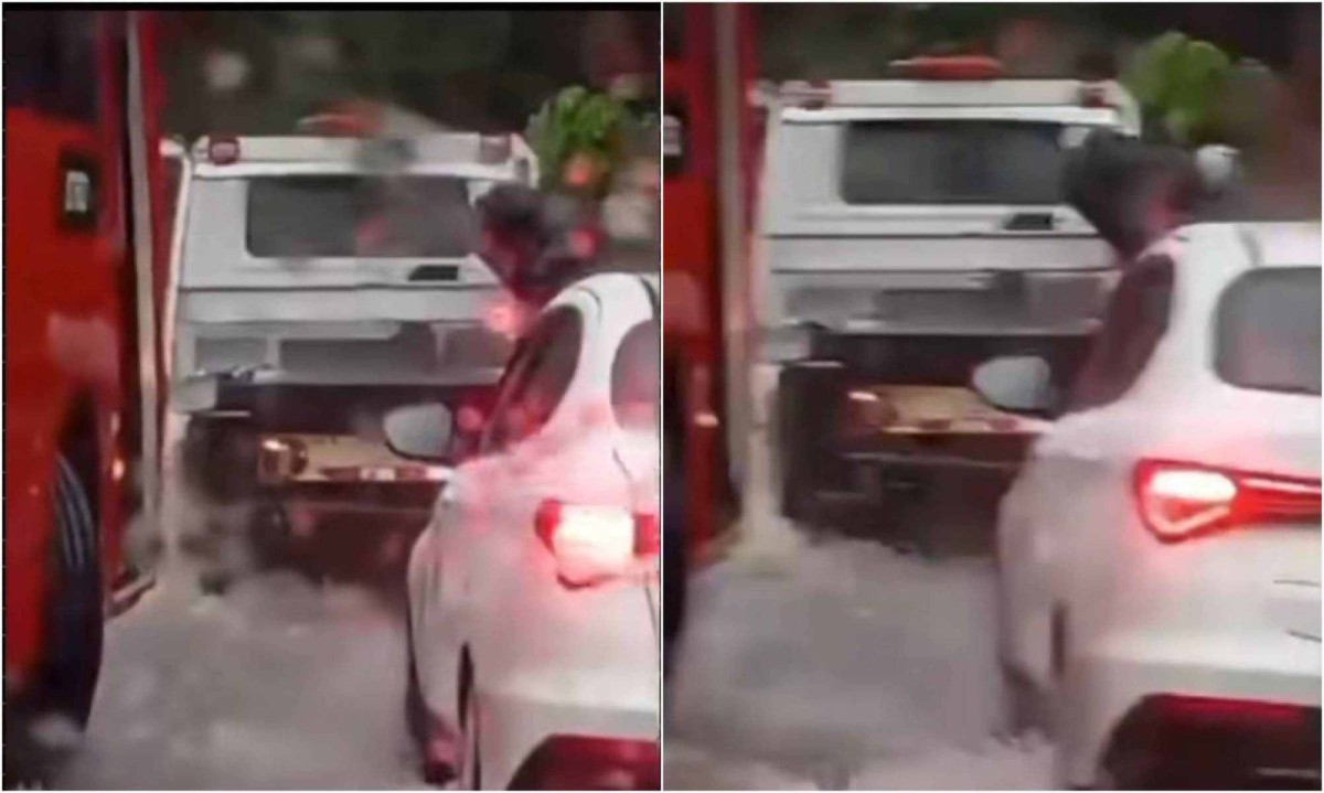 Primas arrastadas por enxurrada no Bairro Tirol foram resgatadas por motoristas que avam pela Avenida Bráulio Gomes Nogueira -  (crédito: Redes Sociais / Reprodução)
