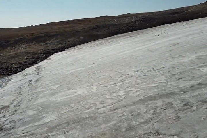 “Esta é uma evidência bastante dramática de mudança de ecossistema devido ao aquecimento da temperatura”, afirmou o professor.