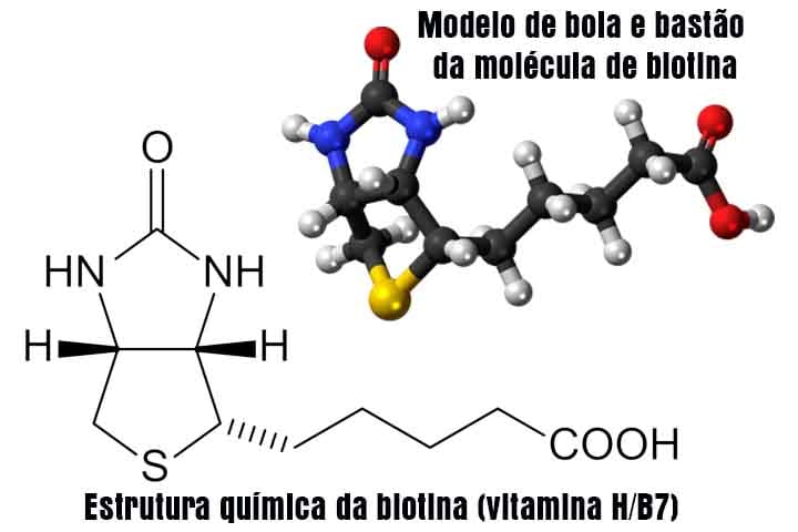 A queratina é uma proteína estrutural porque a sua estrutura tridimensional lhe confere características especiais: microfilamentos com resistência, elasticidade e impermeabilidade à água.-Mugu-shisai e Jynto /Wwikimédia Commons