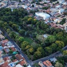 Lei reconhece importância ecológica e cultural da Mata do Lareira, em BH - Reprodu&ccedil;&atilde;o/Redes Sociais 