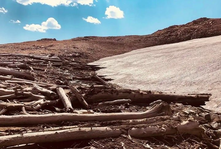 Os detalhes da descoberta foram apresentados no periódico 