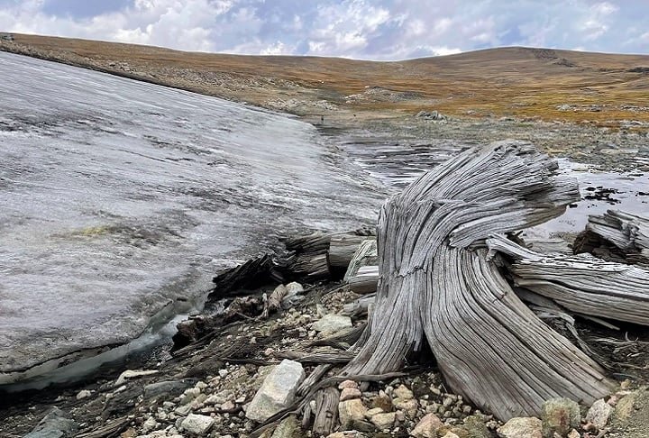 Gelo derretido revela floresta de 6 milênios nos Estados Unidos