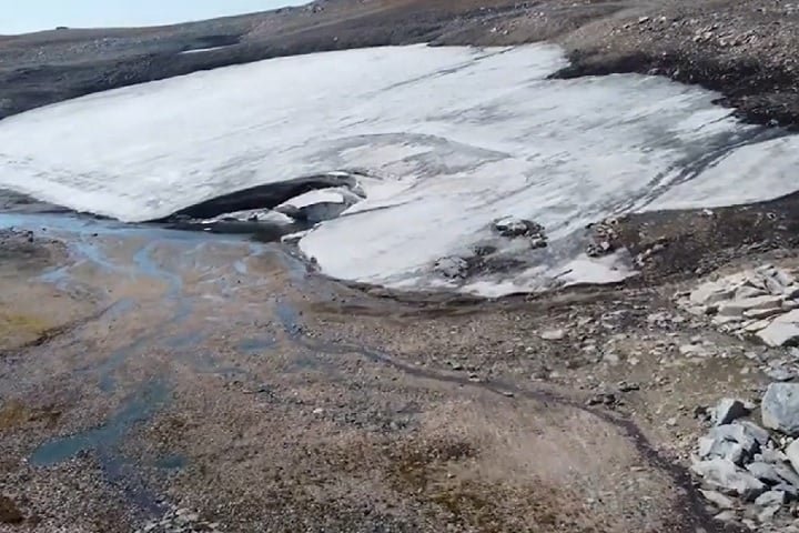 Nos últimos anos, porém, o aquecimento regional provocou o derretimento gradual dessa camada de gelo, revelando os primeiros vestígios da floresta milenar.