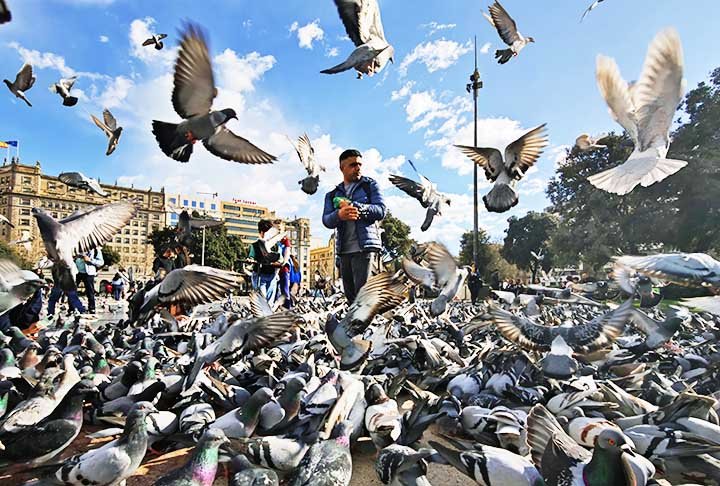 Espanha: Atualmente com cerca de 47 milhões de habitantes, enfrenta um declínio populacional devido a baixas taxas de natalidade e envelhecimento da população, afetando a força de trabalho e a economia.
