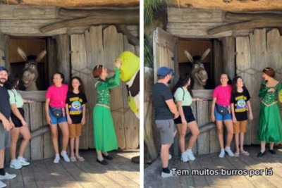 Burro de 'Shrek' faz brincadeira com turistas brasileiros -  (crédito: Reprodução / Instagram)