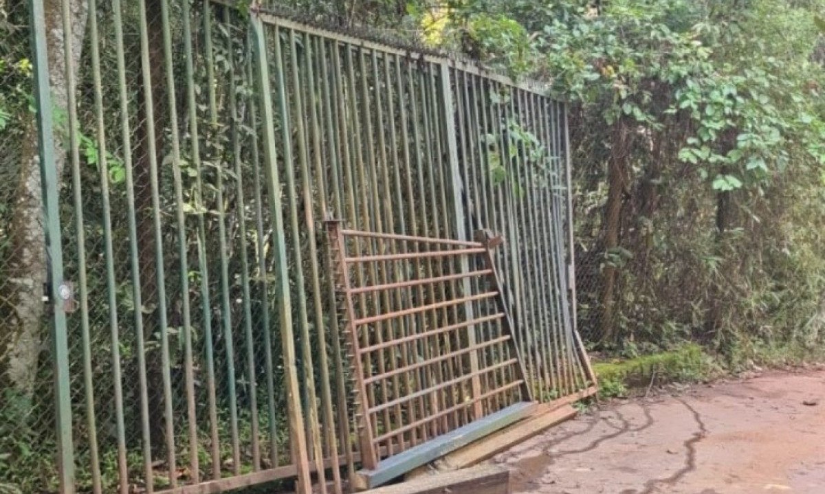 A retirada foi realizada pela Prefeitura de Nova Lima, onde o distrito de S&atilde;o Sebasti&atilde;o das &Aacute;guas Claras - Macacos - est&aacute; localizado -  (crédito: Reprodu&ccedil;&atilde;o Daniela Costa )