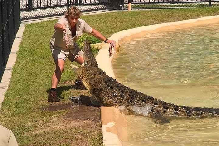Conhecido como CaÃ§ador de Crocodilos, Irwin se tornou famoso participando de filmagens em que se aproximava de animais perigosos. 
