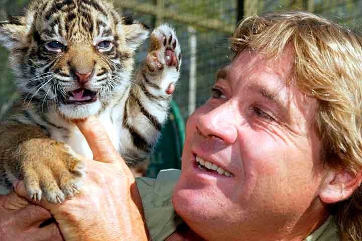Steve Irwin, que tinha apenas 44 anos, morreu ao ter o coração atingido pelo ferrão da arraia. 
