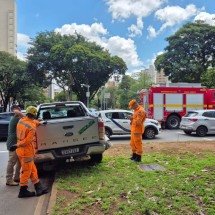 Carro dos bombeiros bate em caminhonete no Centro de BH - crédito: Jair Amaral/EM/D.A. Press