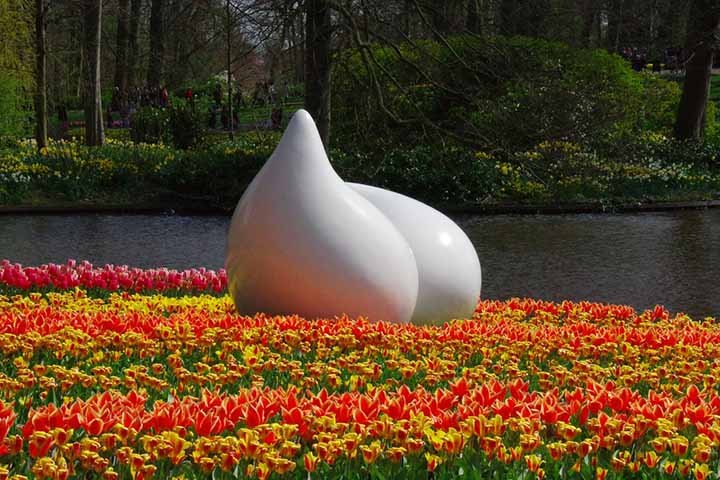 A popularidade das tulipas explodiu na Holanda no século 17, durante a "Mania das Tulipas", um período de especulação frenética em que bulbos raros de tulipas chegaram a valer mais do que casas.