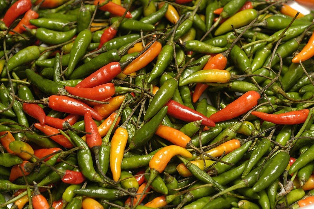 Para ter uma base de comparação e compreender o quanto as pimentas mais fortes são intensas, leve em consideração que a popular pimenta malagueta, bastante consumida no Brasil (especialmente em pratos no Nordeste) tem entre 50.000 e 100.000 shu, dependendo do caso. 