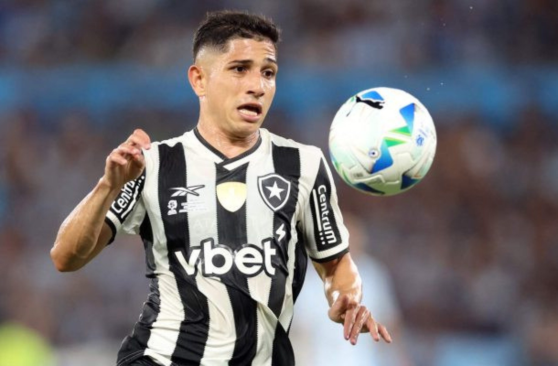Savarino renova com o Botafogo