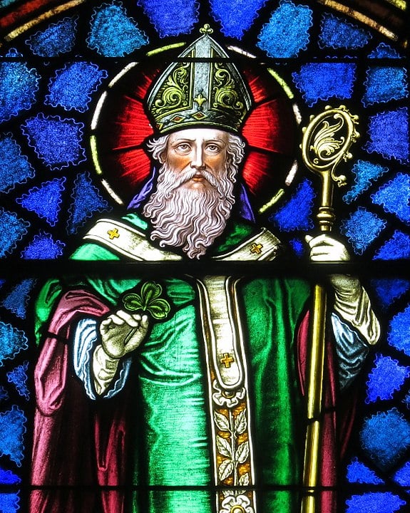 Ao fugir do cativeiro, seguiu para a Gália (atual França), onde ingressou num mosteiro.  Mas regressou à Irlanda em 432 e  começou a fazer pregações. Foi missionário e, depois, bispo.  