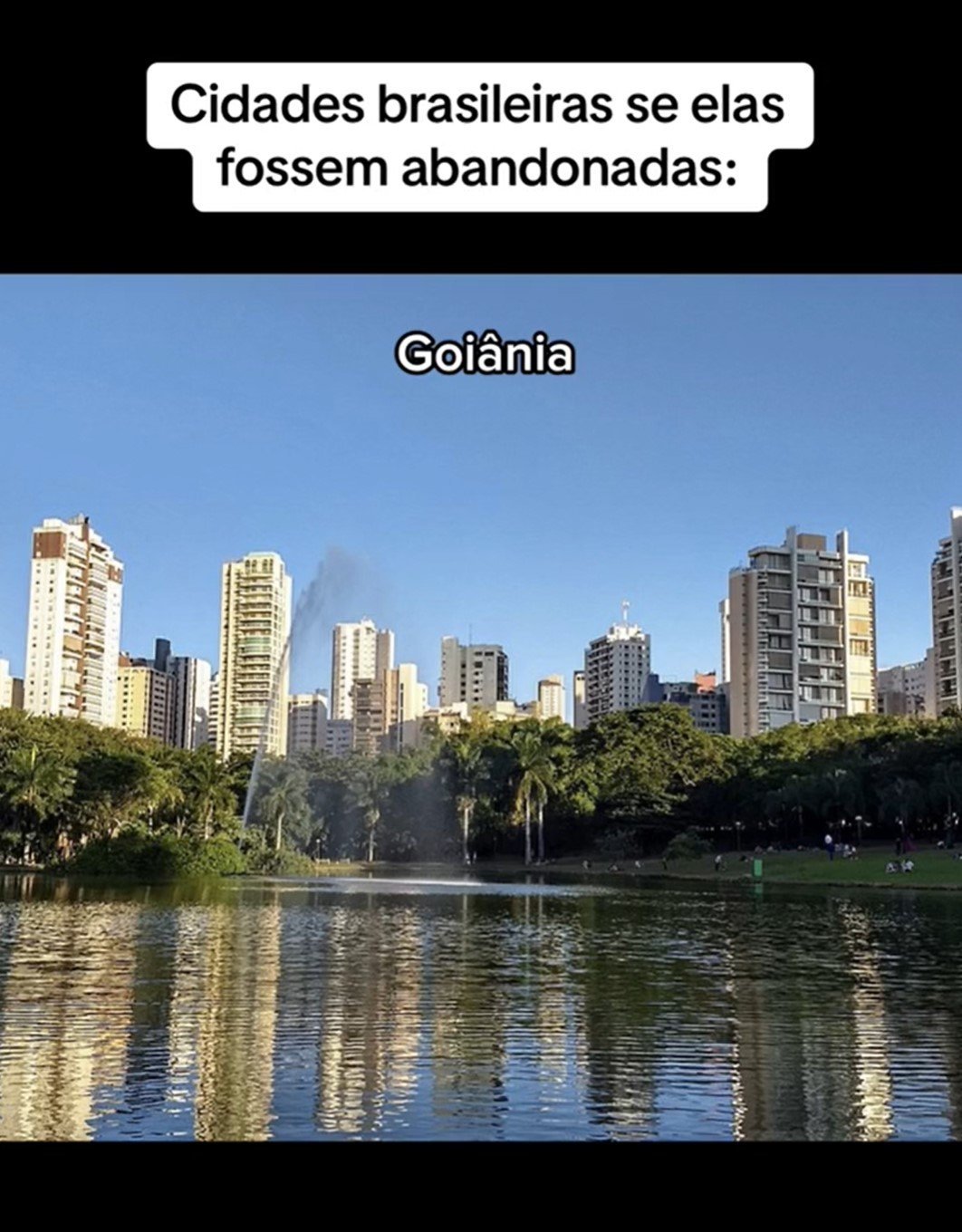Na representação de Goiânia, a imagem foca no Bosque de Buritis, patrimônio paisagístico da cidade. Ele foi projetado junto da planta original da cidade, na década de 20, sendo inaugurado em 24 de outubro de 1933, a data oficial de inauguração da capital de Goiás.