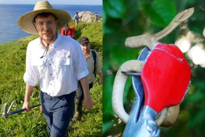 Ele passou uma noite no local e auxiliou um cientista na captura de algumas serpentes. -montagem/reprodução youtube