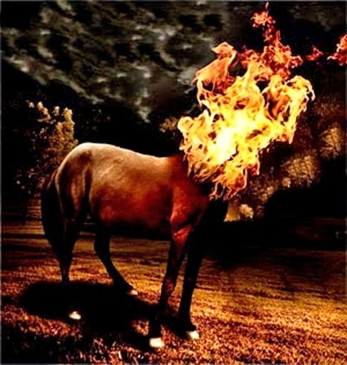 Mula sem cabeça - Diz respeito a uma maldição que caiu sobre uma mulher após iniciar um namoro com um padre. Assim, na virada de quinta para sexta-feira, ela se transforma no animal – originado pelo cruzamento do jumento com égua. 